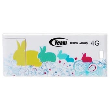 TEAM C116 DRIVE 4GB WHITE  RETAIL Type 2