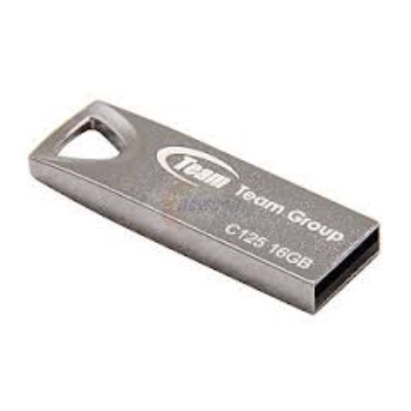TEAM C125 DRIVE 16 GB SILVER  BULK