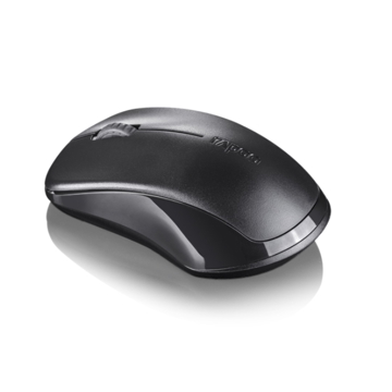 Mouse Rapoo 1620BLK