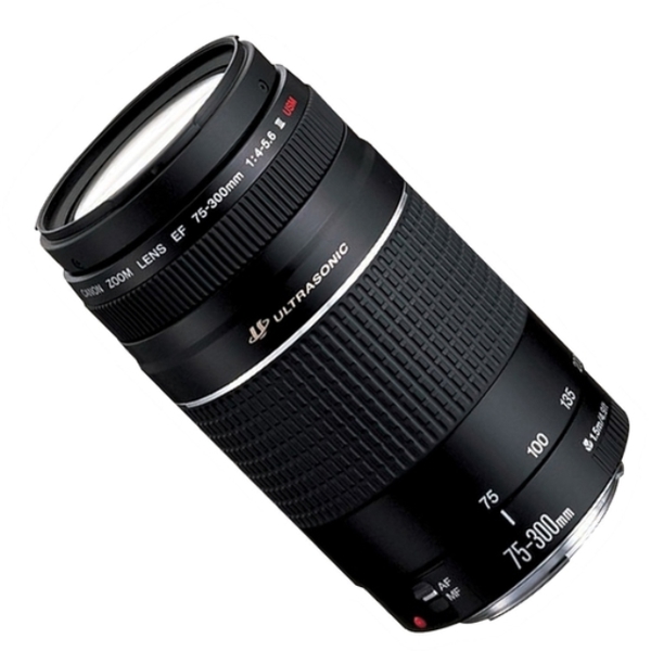 ობიექტივი DIGITAL CAMERA ACCESSORIES  CANON EF 75-300 F4-5.6 III USM