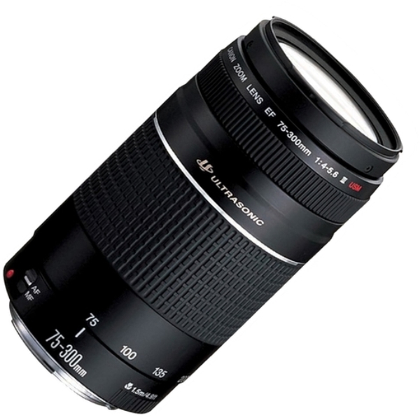 ობიექტივი DIGITAL CAMERA ACCESSORIES  CANON EF 75-300 F4-5.6 III USM