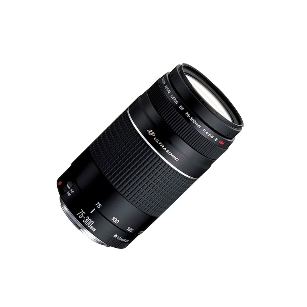 ობიექტივი DIGITAL CAMERA ACCESSORIES  CANON EF 75-300 F4-5.6 III USM