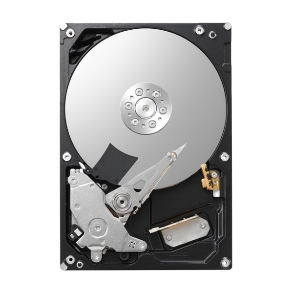 მყარი დისკი  TOSHIBA  *BULK* P300 High-Performance Hard Drive 3TB