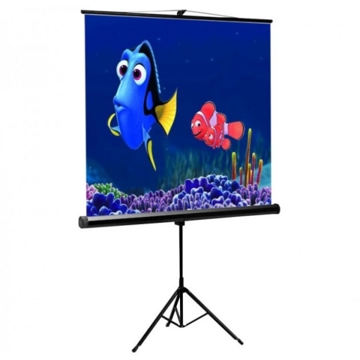 პროექტორის ეკრანი  SCREEN PROJECTOR SCREEN SBOX PSMT-96  172 X 172 CM - TRIPOD