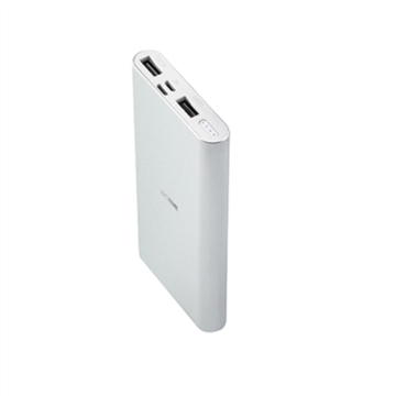 პორტატული დამტენი Acme PB15SG power bank (Lightning and Micro USB inputs) 10000 mAh, Silver