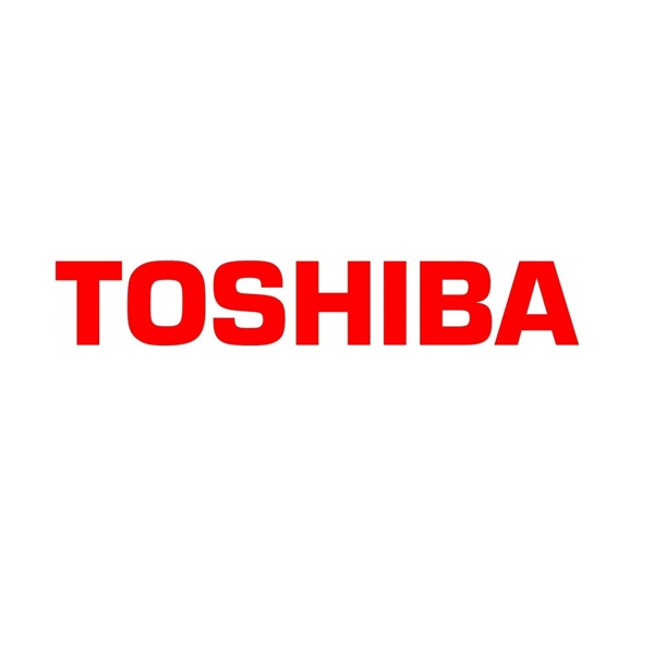 ფლეშ მეხსიერება TOSHIBA THN-U203W0320E4