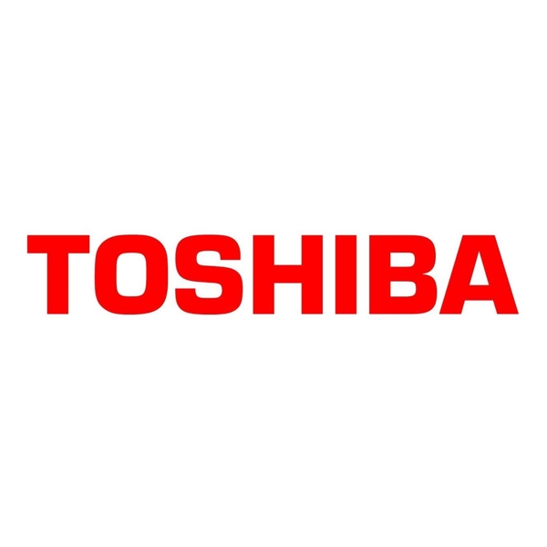 ფლეშმეხსიერება TOSHIBA THN-U203W0160E4