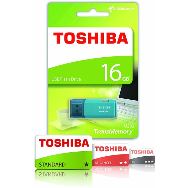 ფლეშმეხსიერება TOSHIBA THN-U202L0160E4