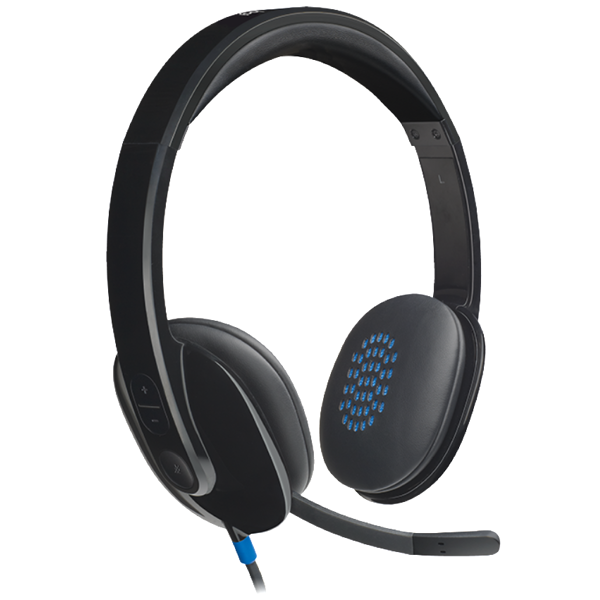 ყურსასმენი LOGITECH Corded USB Headset H540 - USB - EMEA