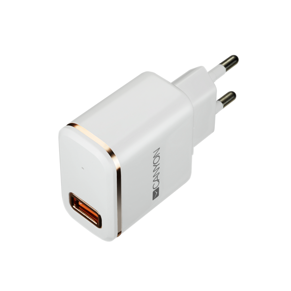 მობილურის დამტენი CANYON Universal 1xUSB AC charger CNE-CHA043WR