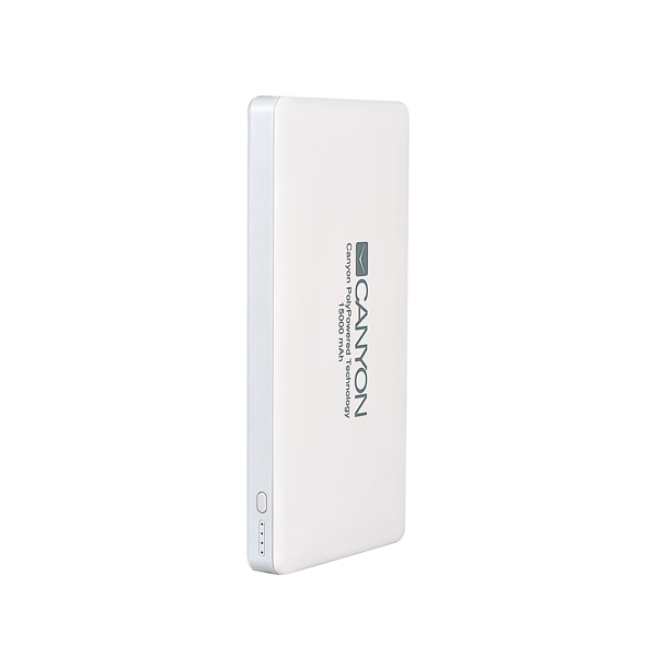 პორტატული დამტენი CANYON Power bank 15000mAh CNS-TPBP15W