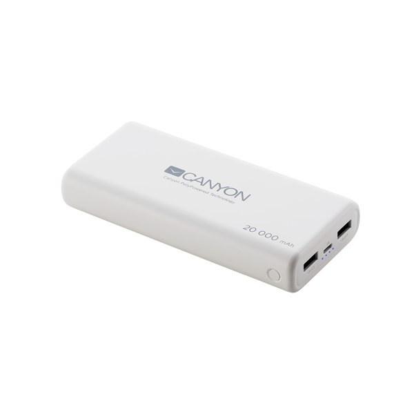 პორტატული დამტენი CANYON Power bank 20000mAh CNS-CPBP20W