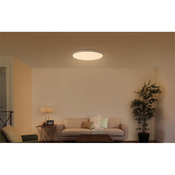 ჭერის სანათი Xiaomi Mi LED Ceiling Light MUE4086GL