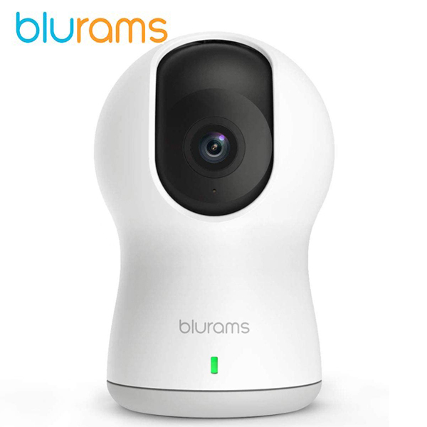 ვიდეო სათვალთვალო კამერა Blurams A30C Dome Pro Security Camera 1080p Wifi Two-Way Audio Night Vision Works with Alexa 360 Degree