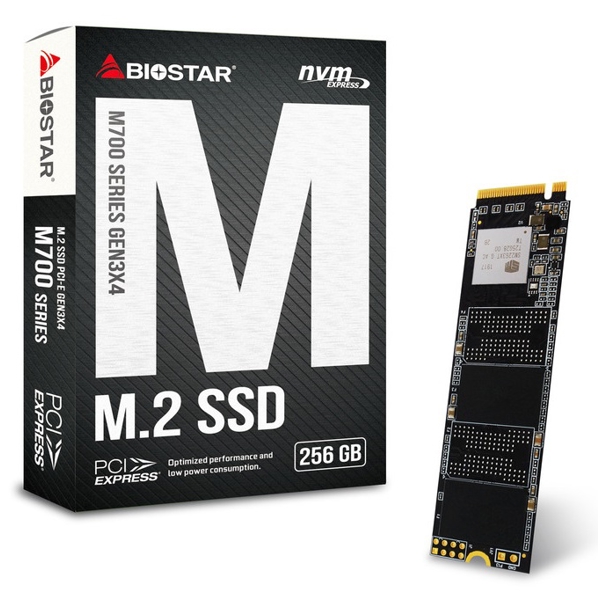 მყარი დისკი Biostar M700256GB M2 256GB SSD