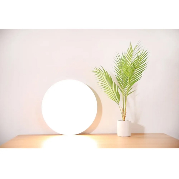 Xiaomi MJXDD01SY Mi Smart LED Ceiling Light X27853, 0.45W, Bluetooth, Wi-Fi, White