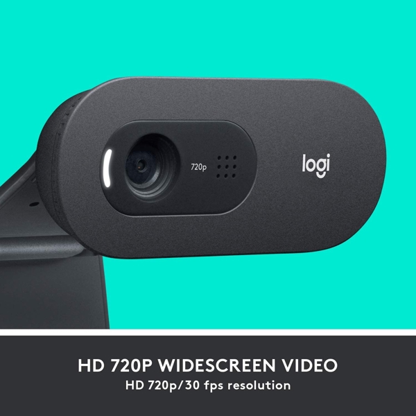 ვებკამერა Logitech L960-001364 C505 HD Webcam Black