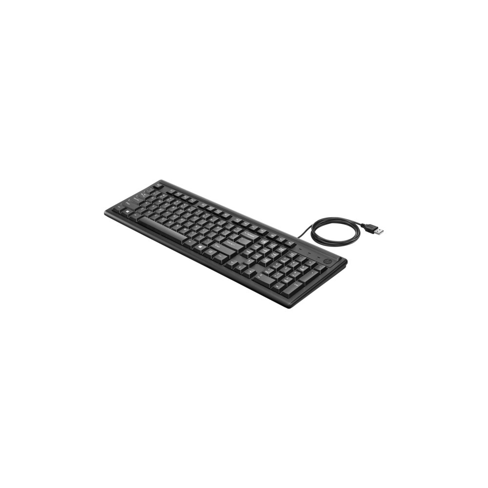 კლავიატურა HP Keyboard 100 USB Wired Black