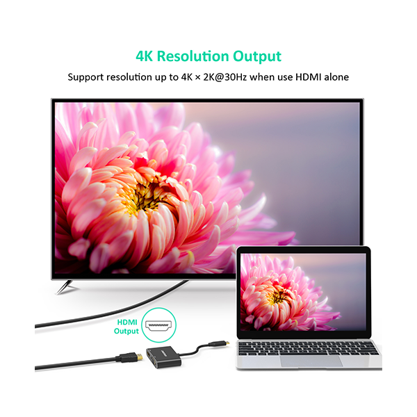 ადაპტერი Choetech HUB-M17, USB-C to HDMI+VGA Adapter, Black