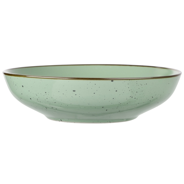  Ardesto AR2920GGC Soup bowl Bagheria, 20 сm, Ceramics Pastel Green