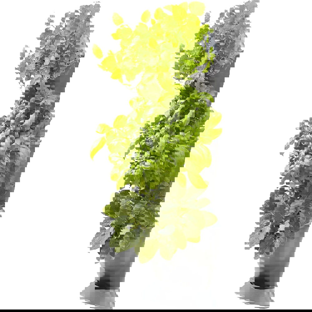 ქოთნის კომპლექტი Gardena 13153-20, Basic Set Corner Vertical, Gray