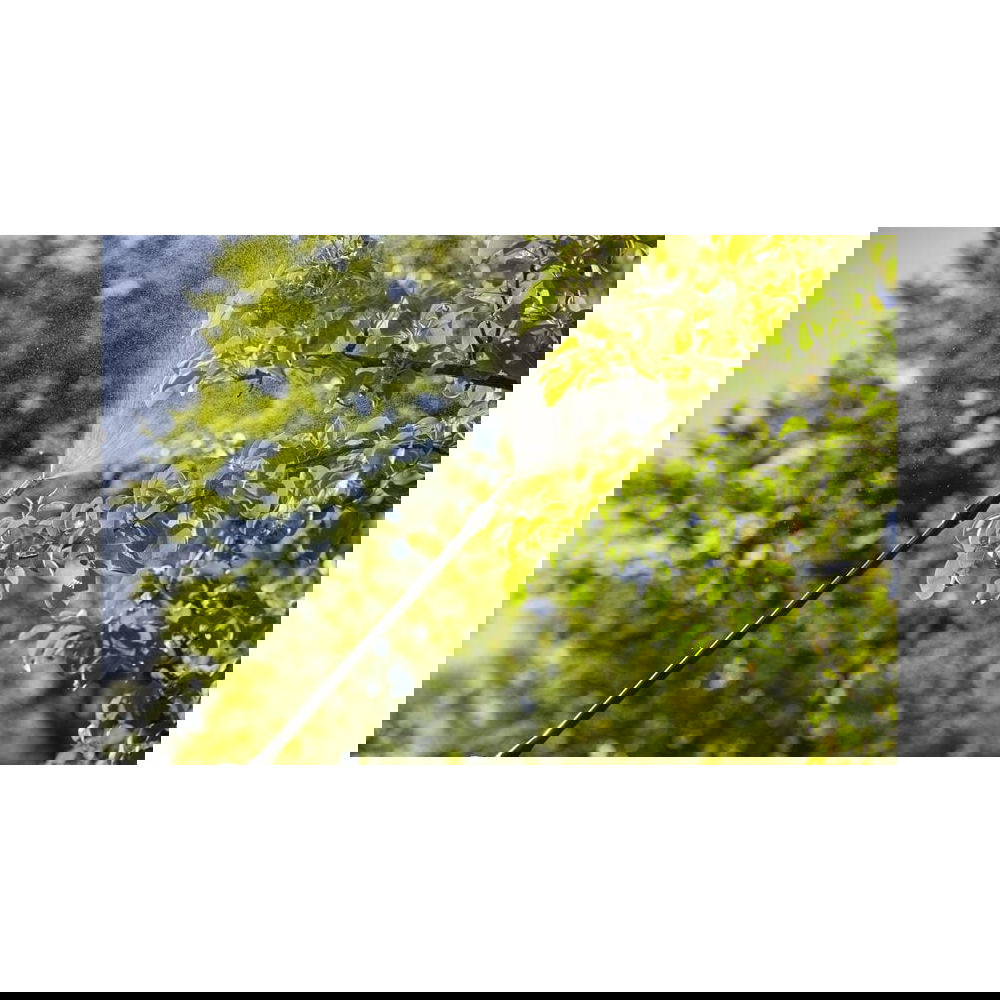 შესაწამლი აპარატი Gardena 11140-20, 12L, Backpack Sprayer, Green