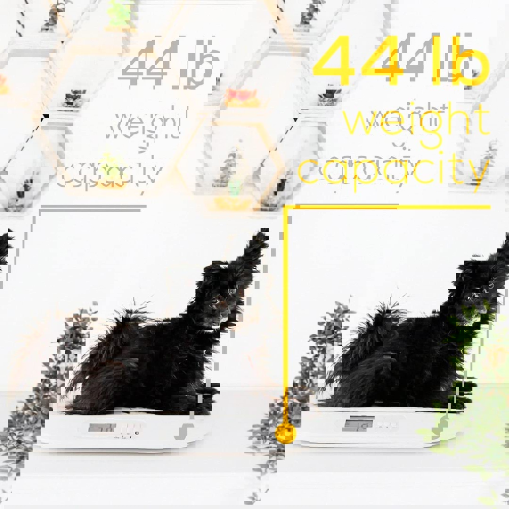 ბავშვის სასწორი სანტიმეტრით Beurer BY 90 White