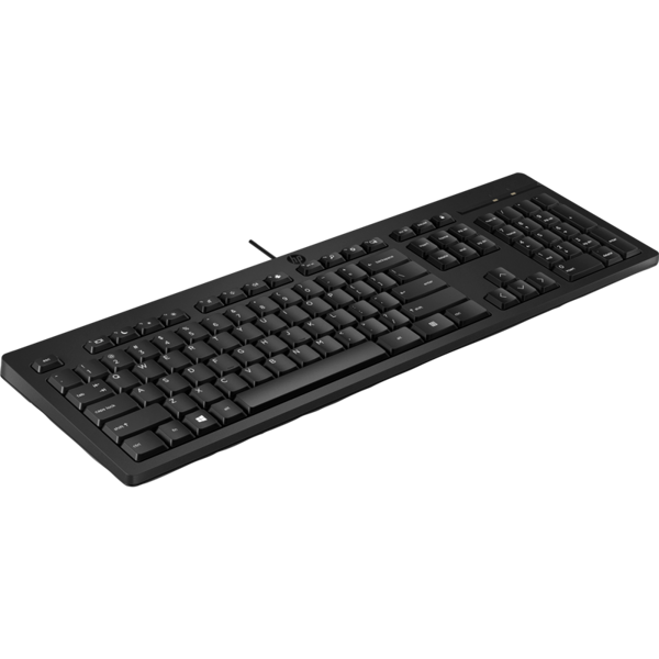 კლავიატურა HP 266C9AA 125, Wired, USB, Keyboard, Black