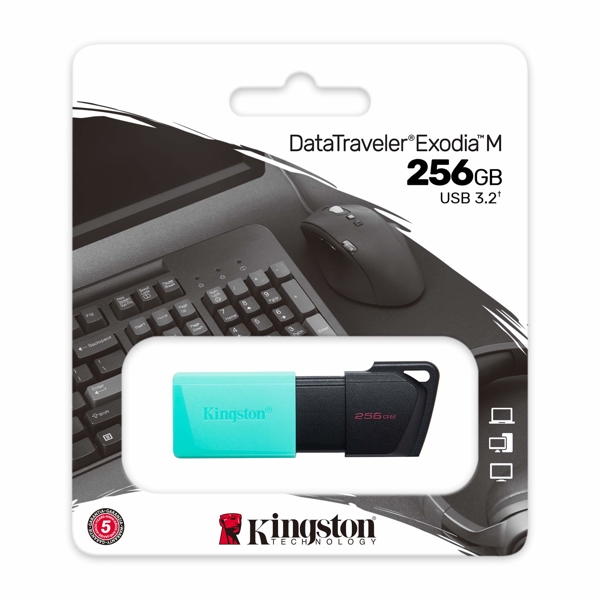  Kingston DTXM/256GB, 256GB, USB 3.2, Black/Turquoise