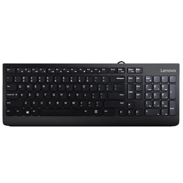 Lenovo GX30M39684 300, Wired, USB, Keyboard, Black