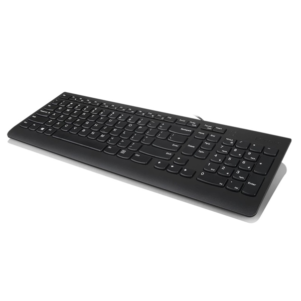 Lenovo GX30M39684 300, Wired, USB, Keyboard, Black