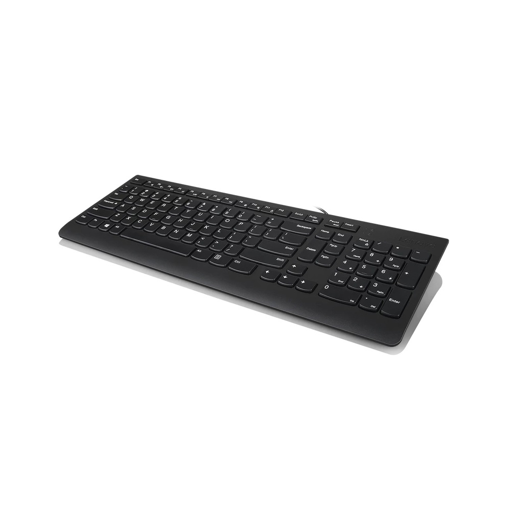 Lenovo GX30M39684 300, Wired, USB, Keyboard, Black