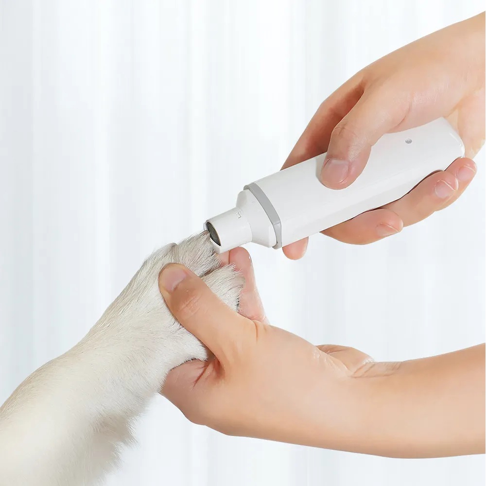 Xiaomi MG-NG001, 5W, White
