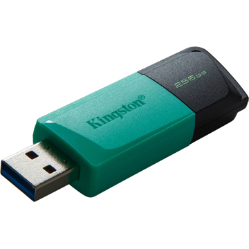 USB ფლეშ მეხსიერება Kingston DTXM/256GB, 256GB, USB 3.2 Gen 1 Type-A Connector, Black/Blue