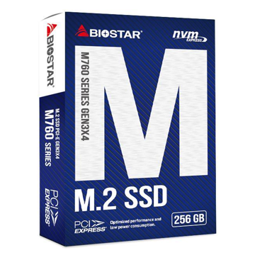 მყარი დისკი Biostar M760-256GB, 256GB, Hard Drive