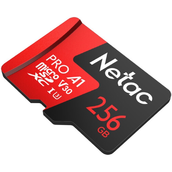 NT02P500PRO-256G-R, 256GB, MicroSDXC, C10, V30, A1, Black