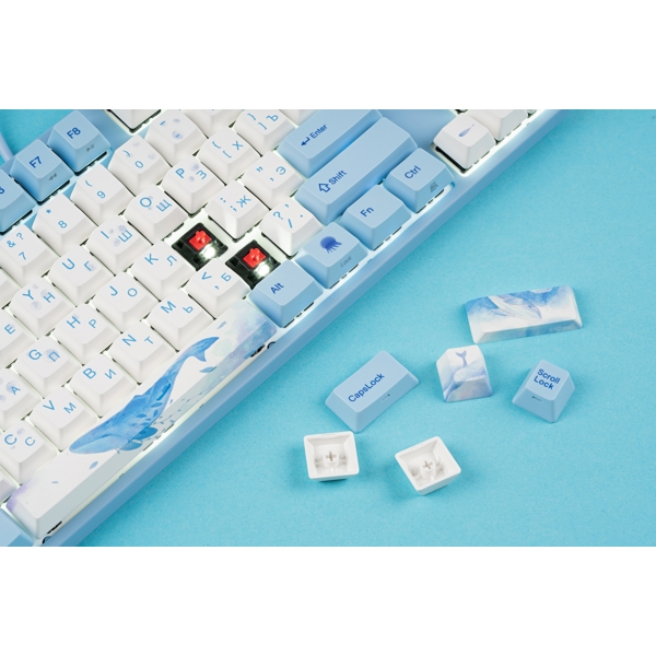 კლავიატურა Varmilo VEA87 Sea Melody, Cherry Mx Red, Wired, USB, Gaming Keyboard, Blue/White