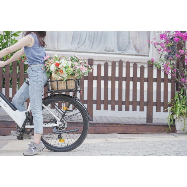 ელექტრო ველოსიპედი ADO A26S XE, 500W, Smart APP, Electric Bike, 25KM/H, Gray