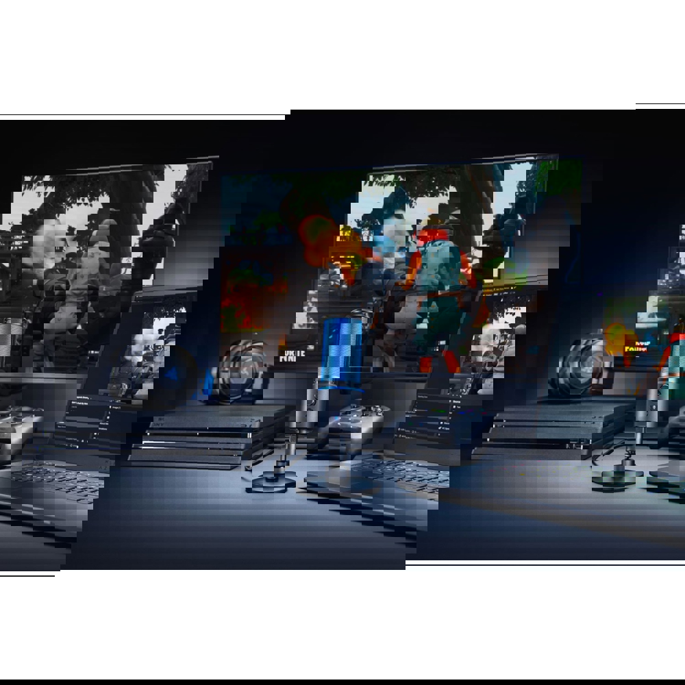 Razer RZ19-02290200-R3G1 Seiren X, Microphone, USB, Black