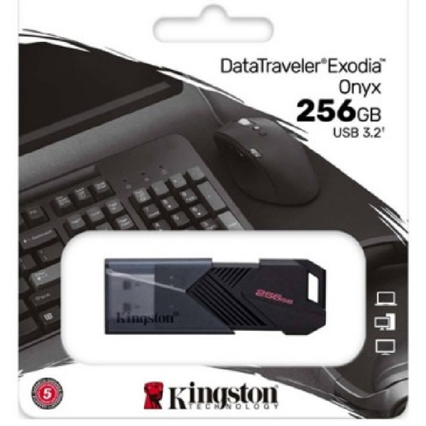 Kingston DTXON/256GB, 256GB, USB 3.2, Black