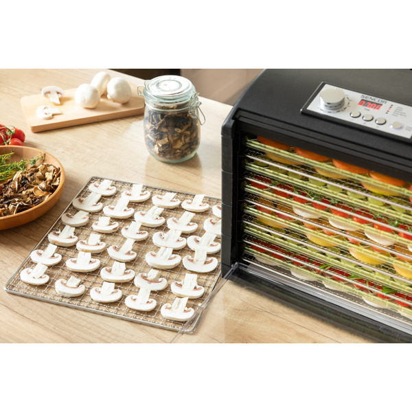 Sencor SFD 6601BK, 500W, Black