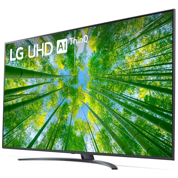 LG 65UQ81006LB, 65", 4K UHD, Smart TV, HDMI, USB, LAN, BT, WIFI, Black