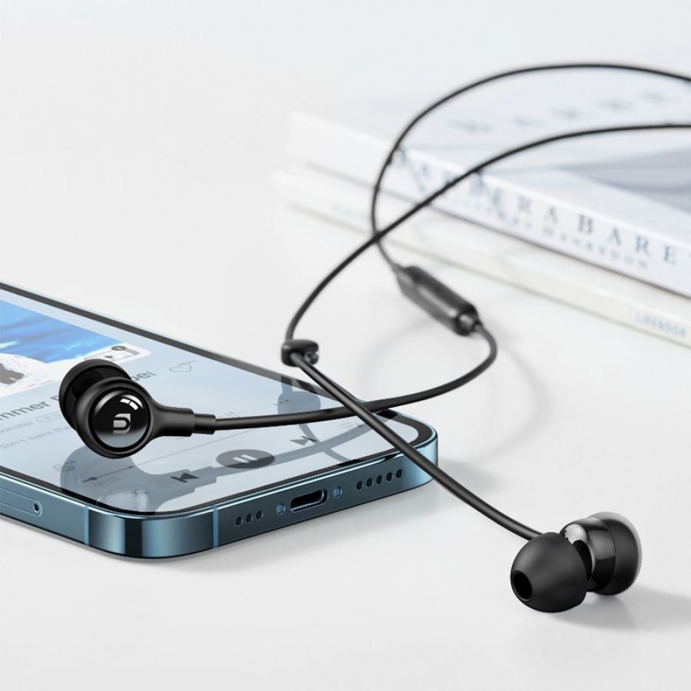 UGREEN EP103 (30638), In-Ear Headphones, Wired, Type-C, Black