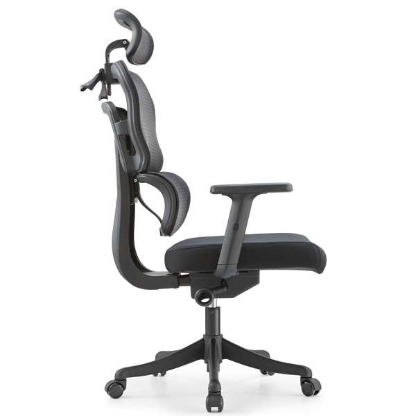 ALLX MS2033, Office Chair, Black