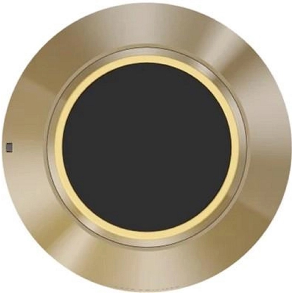 Bang & Olufsen 1666413 Beosound 1 GVA, 60W, Wireless, Bluetooth, Wi-Fi, RJ-45, Speaker, Golden