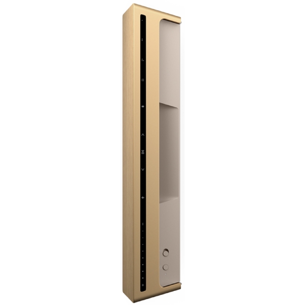 Bang & Olufsen 1200498 Beosound Level Gold Tone Alu, 105W, Bluetooth, USB-C, Wi-Fi, RJ45, Speaker, Light Oak