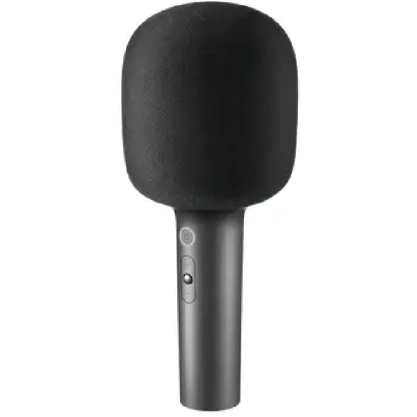 Xiaomi BHR6752GL, Microphone, Bluetooth, USB-C, Black