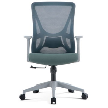 ALLX MS-2215M-2, Office Chair, Gray