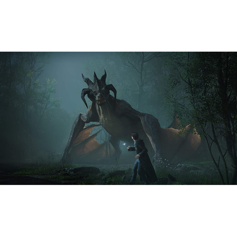 Hogwarts Legacy, Sony PlayStation 4 Game