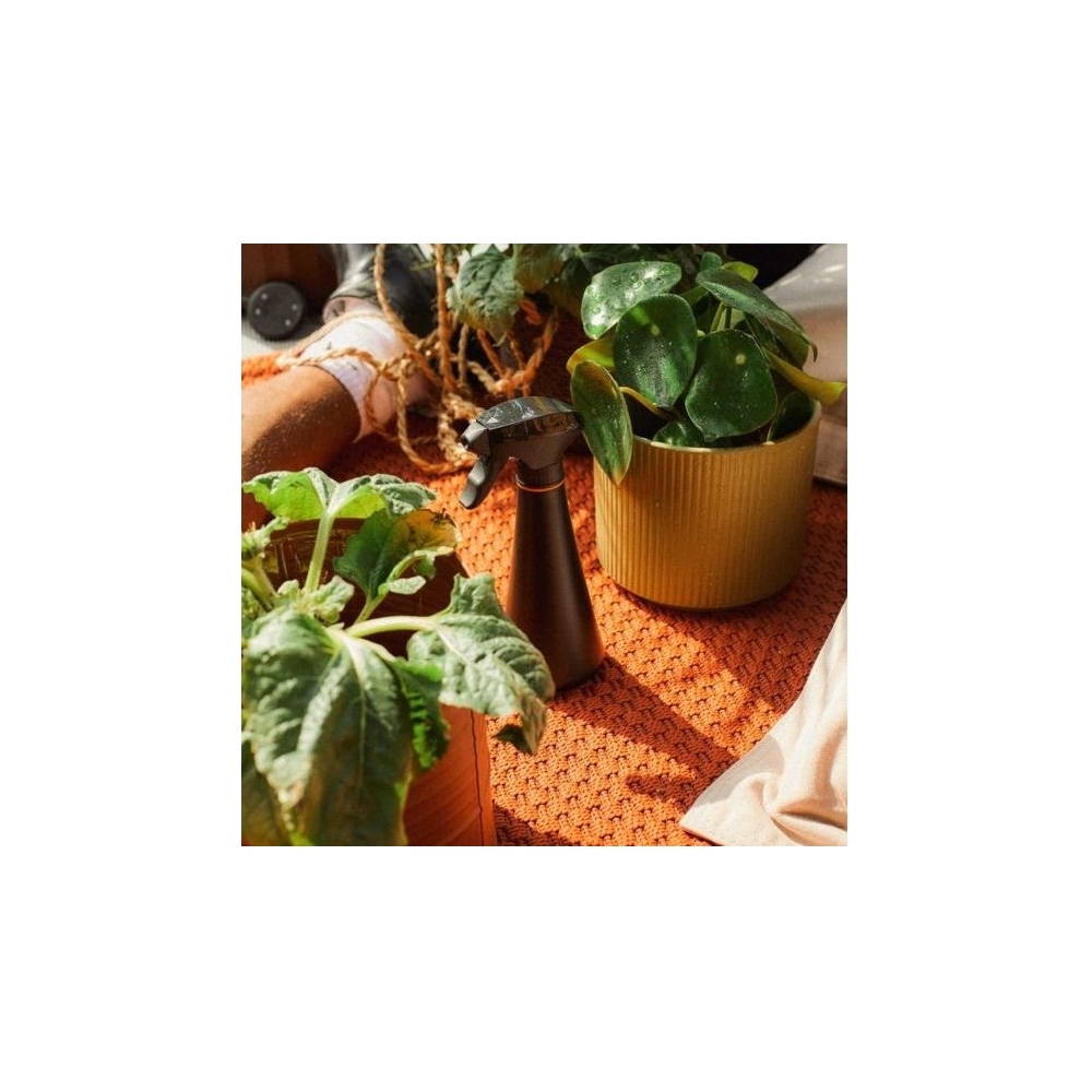 Fiskars 1071306, 0.3L, Sprayer, Black